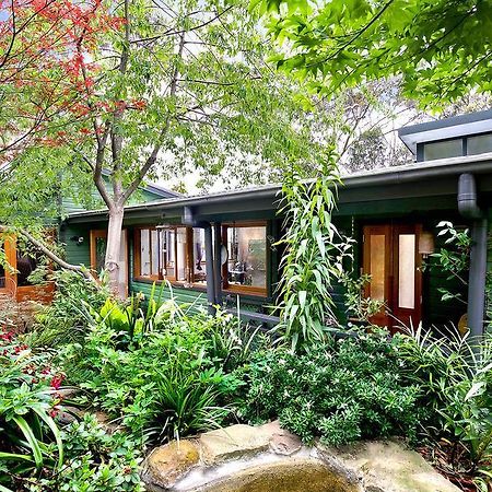 The Black Cockatoo - Secret Garden Treetops Home Katoomba Exteriör bild