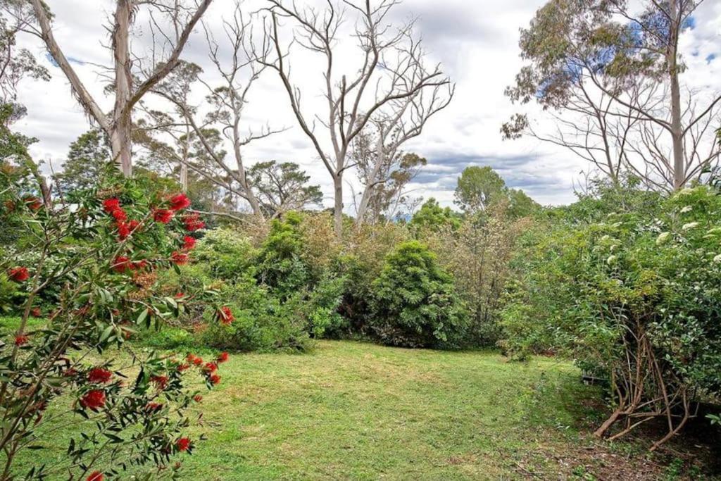 The Black Cockatoo - Secret Garden Treetops Home Katoomba Exteriör bild